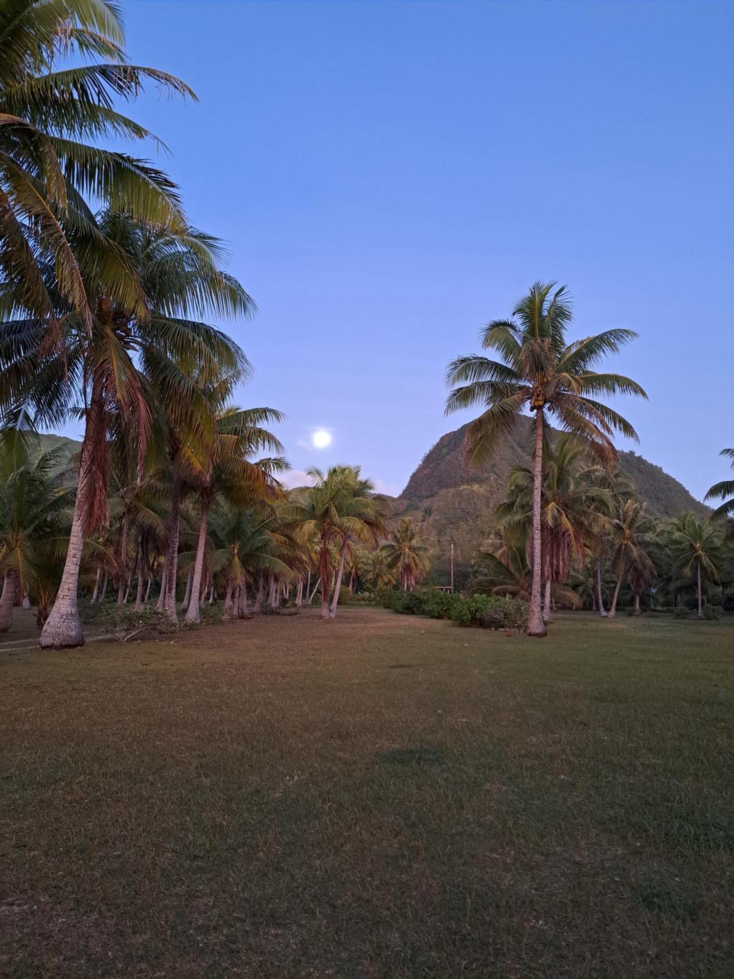 Tifaifai Et Cafe Huahine Bed & Breakfast Fare Dış mekan fotoğraf